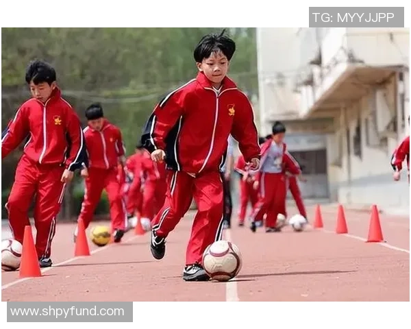 中美体育文化差异的深度剖析与影响对比